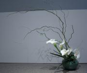 28 - Elizabeth Loan.jpg 3.7K